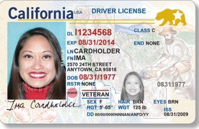 Drivers-License