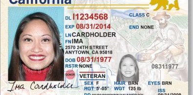Drivers-License